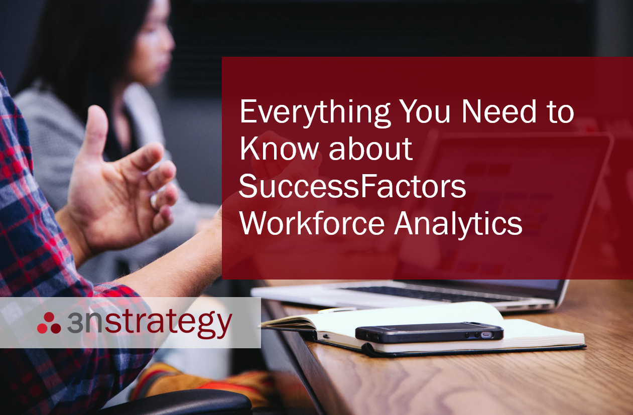 3n Strategy Everything Your Need to Know about SuccessFactors Workforce Analytics