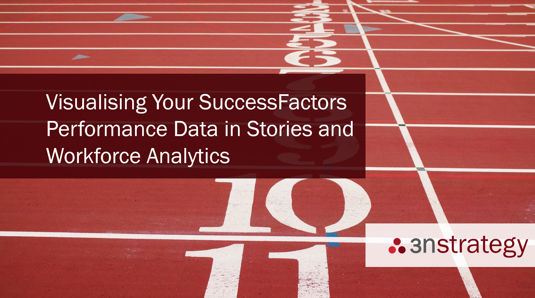 3n Strategy SAP SuccessFactors Workforce Analytics Report Stories Performance Data