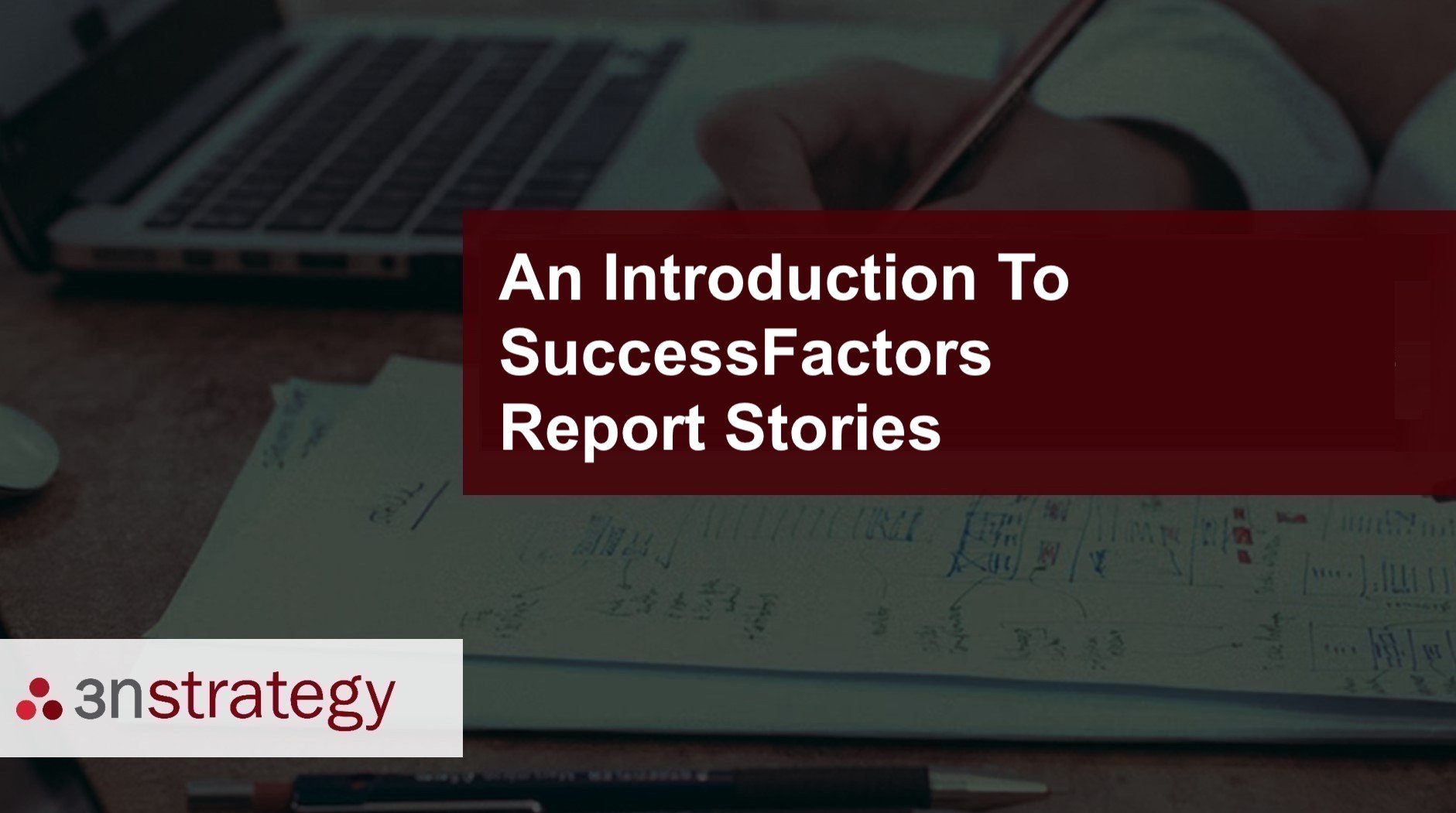 3n Strategy│ Introduction to SuccessFactors Report Stories