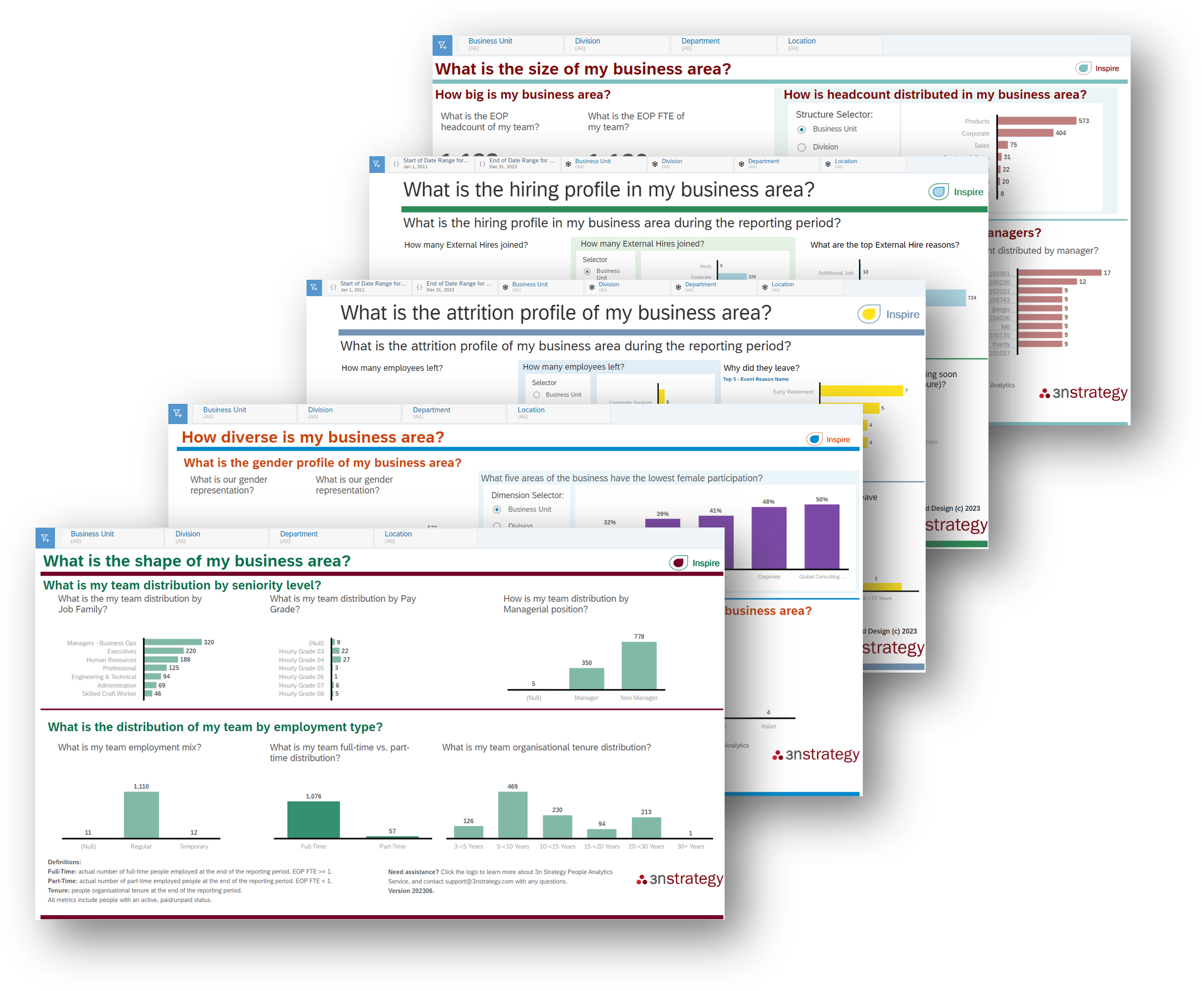 3n Strategy SAP SuccessFactors Report Stories Dashboards
